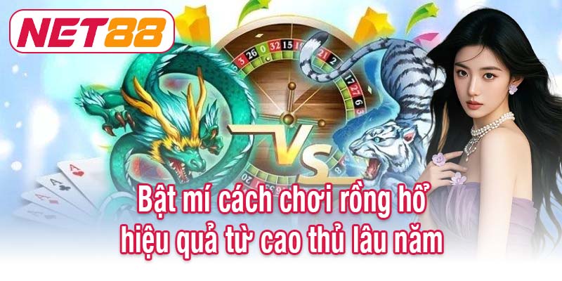 Bật mí cách chơi rồng hổ hiệu quả từ cao thủ lâu năm