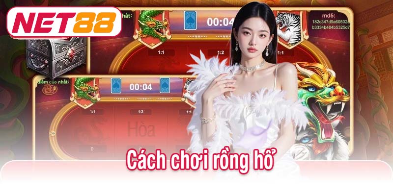 Cách chơi rồng hổ