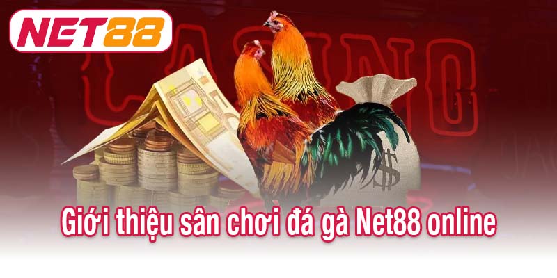 Giới thiệu sân chơi đá gà Net88 online