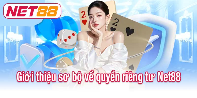 Giới thiệu sơ bộ về quyền riêng tư Net88